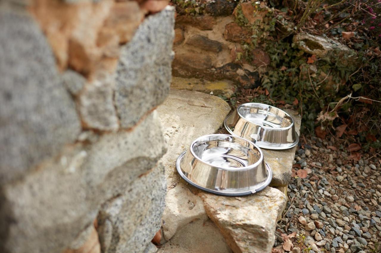Villetta Con Giardino ⭑⭑⭑⭑⭑ - Wifi, Dogs Allowed Biella Kültér fotó